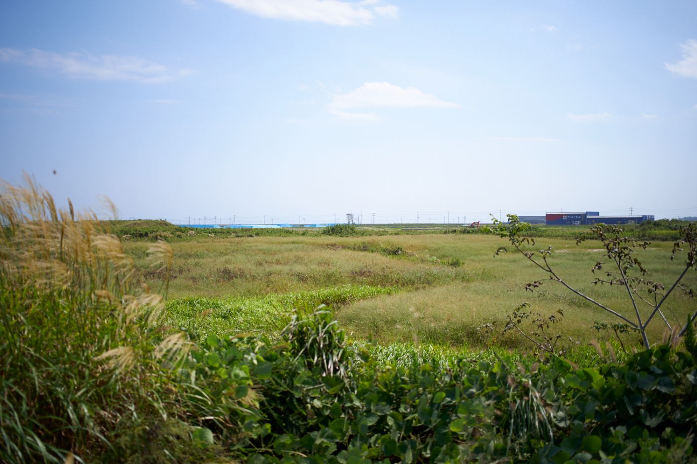 風景