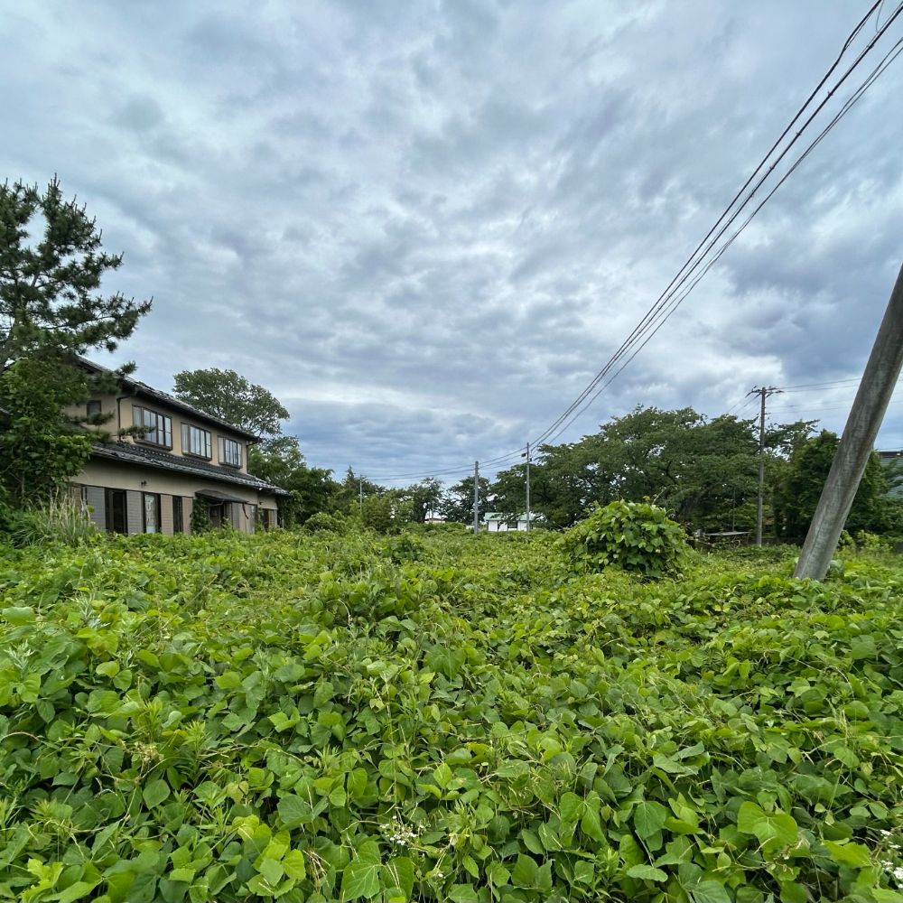 A土地